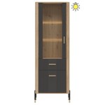 DANTE DT13 WITRYNA L/P