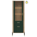 DANTE DT13 WITRYNA L/P