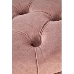 HA - PUFA NUNEZ