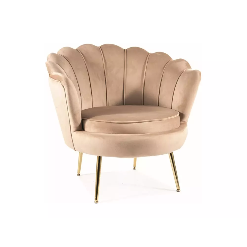 SIG  - FOTEL CAMELLIA 1 VELVET